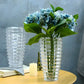 Vase Transparent Design Élégant