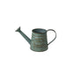 Vase Vintage Arrosoir & Pichet ou Pot au Lait