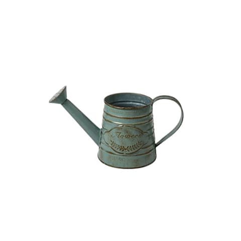 Vase Vintage Arrosoir & Pichet ou Pot au Lait