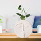 Vase Visage Blanc Atypique Expressif